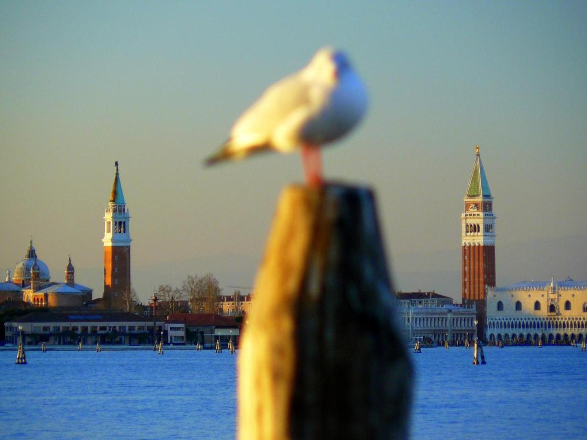 Villa Venice Movie Venetië-Lido Buitenkant foto